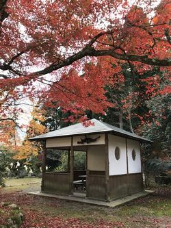 koushoji1113-4.JPG
