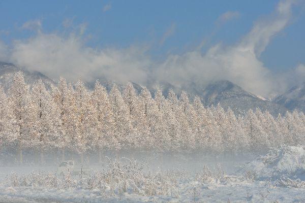 第13回高島の魅力を探そう‼フォトコンテスト
